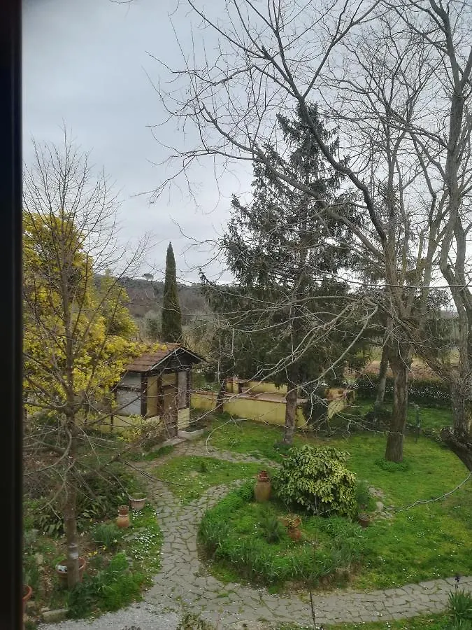 Le Mimose B&B Vinci
