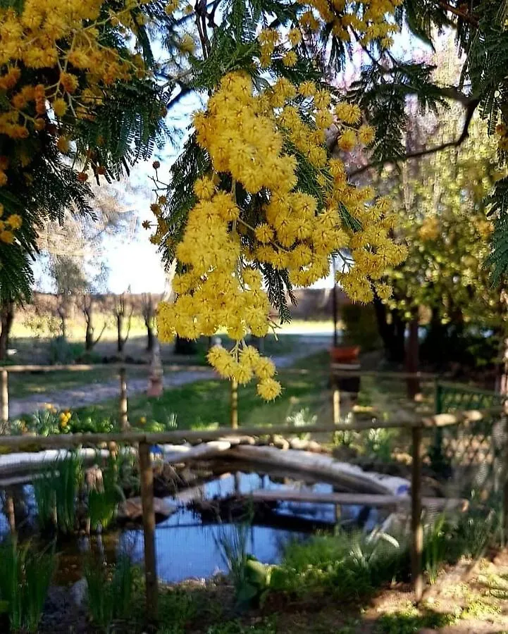 Country house Le Mimose B&B Vinci Italy