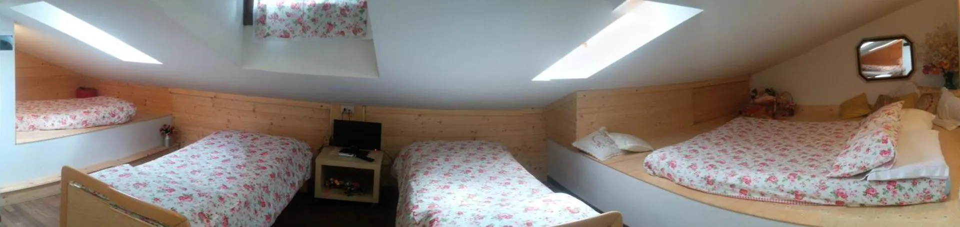 Le Mimose B&B Vinci Italy