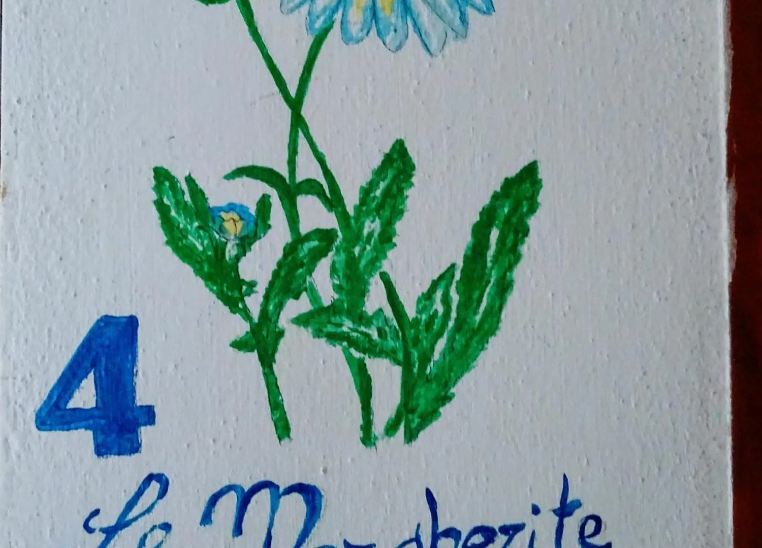 Le Mimose B&B Vinci Country house