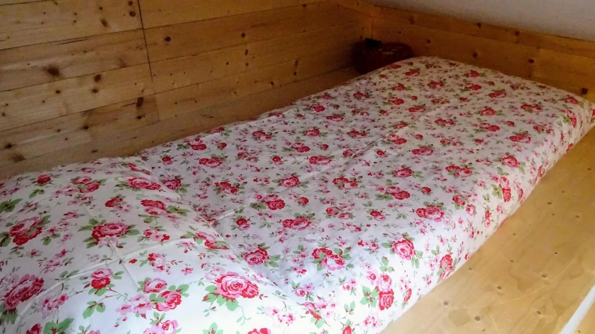 Le Mimose B&B Vinci