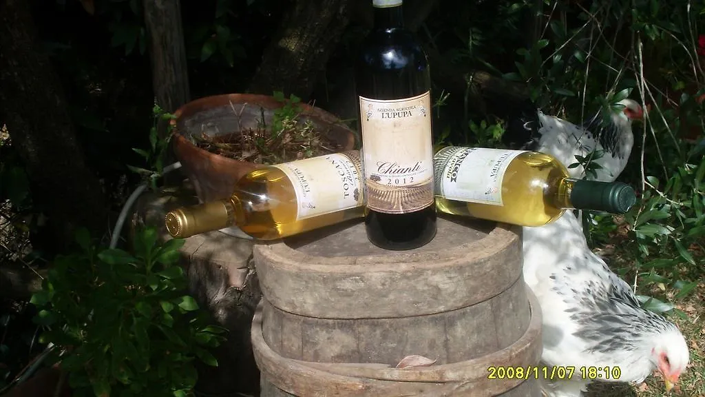 Le Mimose B&B Vinci