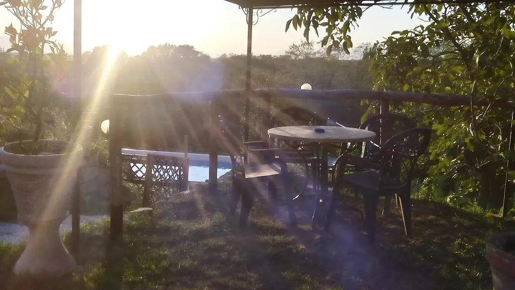 Le Mimose B&B Vinci