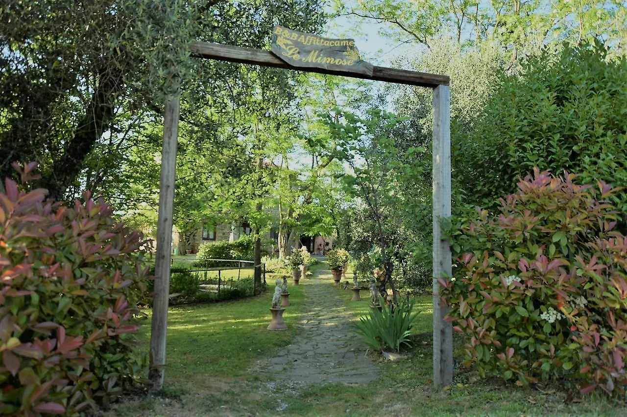 Le Mimose B&B Vinci