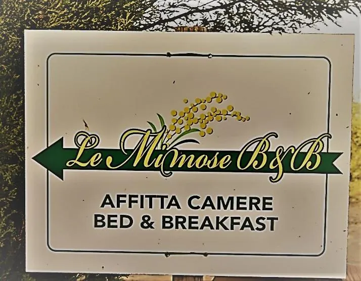 Le Mimose B&B Vinci Italy