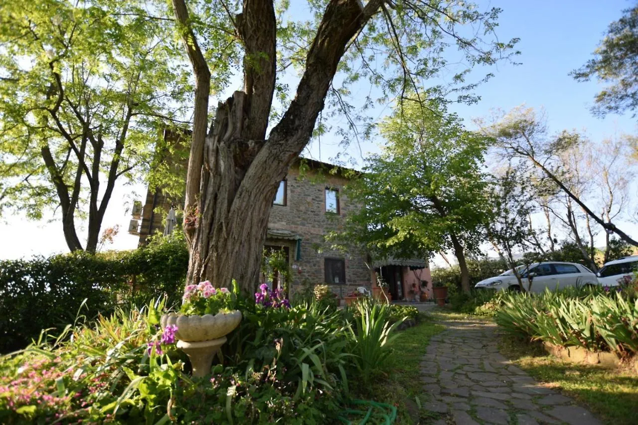 Le Mimose B&B Vinci