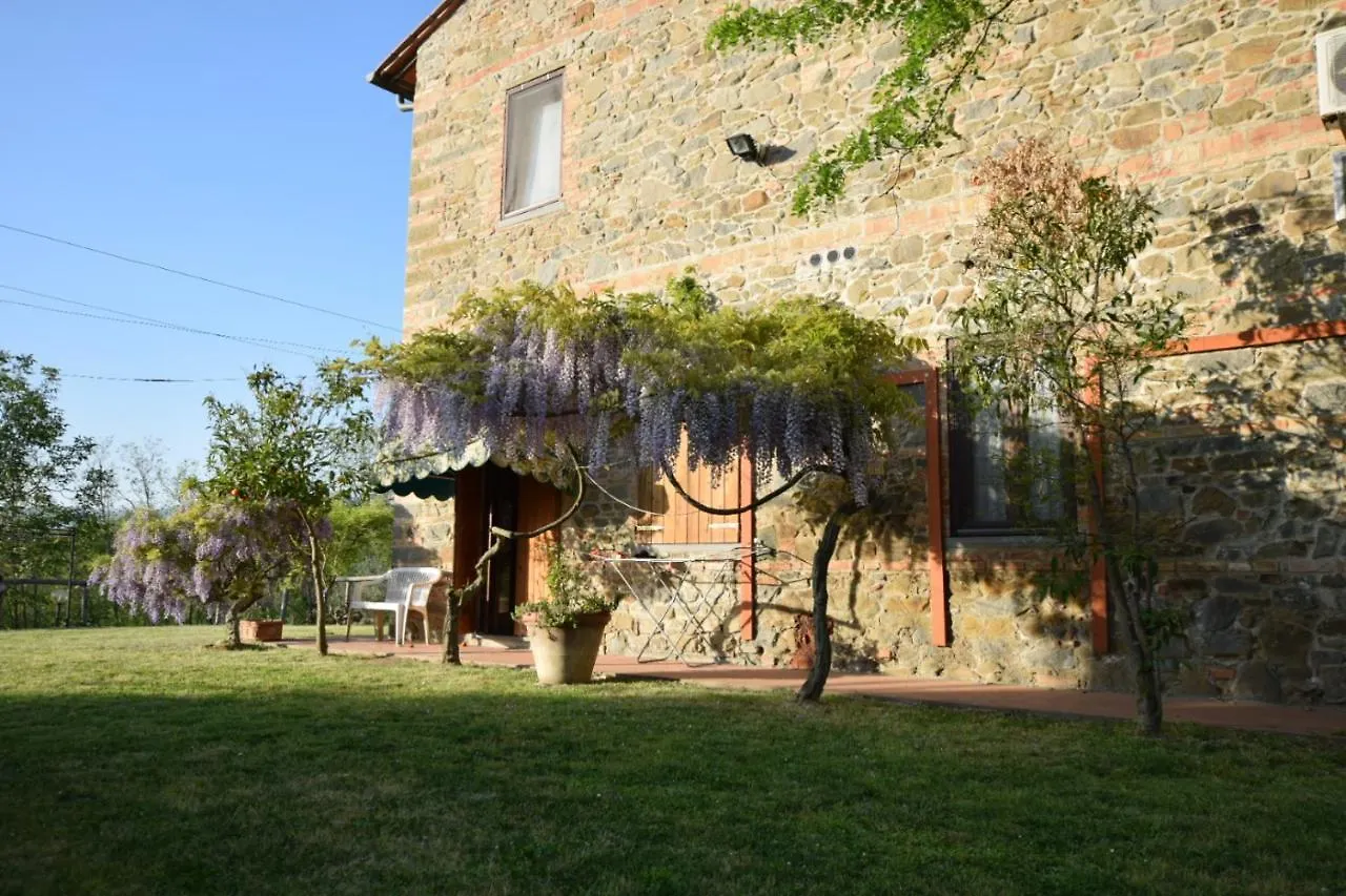Country house Le Mimose B&B Vinci