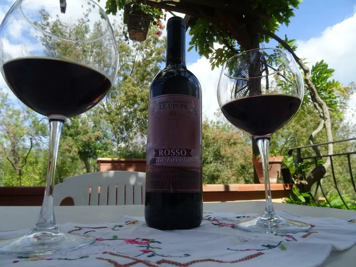 Le Mimose B&B Vinci Italy