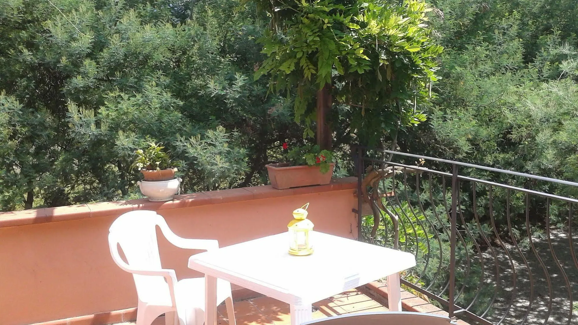 Le Mimose B&B Vinci 0*,  Italy