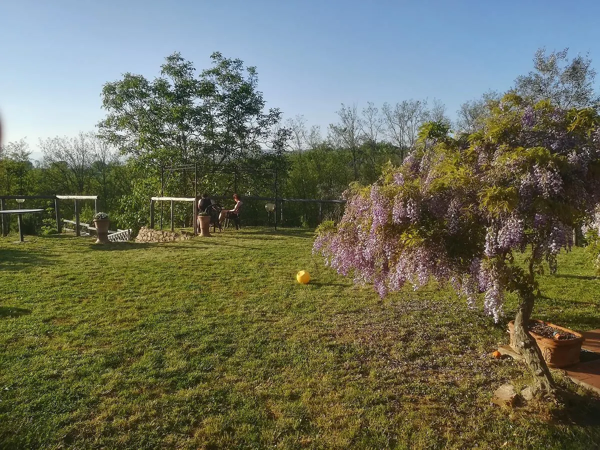 Le Mimose B&B Βίντσι Εξοχικό σπίτι