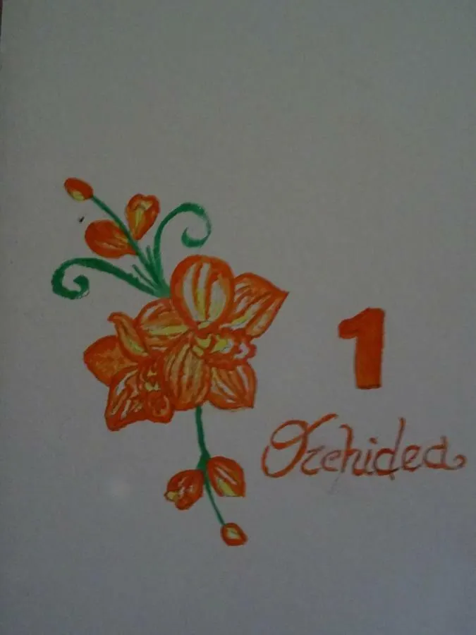 Le Mimose B&B Βίντσι 0*,